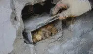 Restorasyonda bulunan 17. yüzyıl altınları 54 milyon liraya satıldı