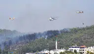 Muğla'da açık alan yangınlarının yaklaşık yüzde 70'i insan kaynaklı çıktı