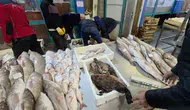 Buca'da kaçak avcılığa ağır darbe: 45 kilo balık imha edildi