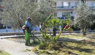 Kuşadası’nda yaşam alanları yenileniyor: Estetik dokunuşlar hız kazandı