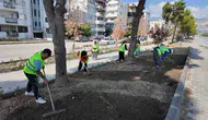 Söke’de hummalı çalışma: Şehrin dört bir yanında değişim rüzgarları esiyor
