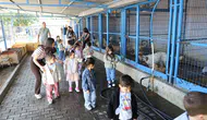 Nazilli’de minik yürekler can dostlarla buluştu: Sevgi dolu bir gün
