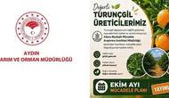 Aydınlı turunçgil üreticilerine kritik uyarı: Ekim ayı mesaisi başladı