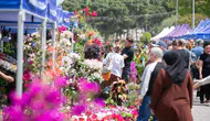 İzmir'in renkli festivali Kültürpark'ta başlıyor: Çiçek ve bal üreticileri bir araya geliyor