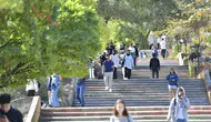Muğla’nın iklim vizyonu dünya sahnesine taşınıyor: MSKÜ’den 11 dev proje