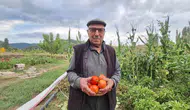 Manisa'da bir gelenek: Dededen kalan tohumlarla toprağı bereketlendiriyor