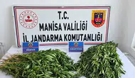 Manisa'da zehir tacirlerine jandarma darbesi: 4 ilçede eş zamanlı operasyon