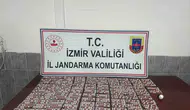 Kınık kırsalında suçüstü: Jandarmadan uyuşturucu tacirlerine geçit yok