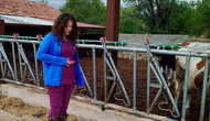 Evciler’de tarımsal üretimde kaliteyi artıracak denetim mesaisi