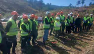 Akhisar ormanlarında uzman dokunuşu: Geleceğin yeşil mirası için sahaya indiler