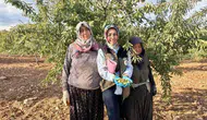 Afyonkarahisar’da tarım seferberliği: Meyve bahçeleri mercek altına alındı