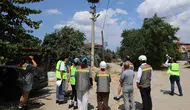 Göç yollarında elektrikli önlem dönemi: Ege'de kuşlar için yeni rota