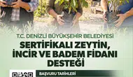 Denizli'de tarımsal kalkınma hamlesi: Üreticiye sertifikalı fidan desteği müjdesi