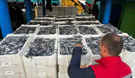 Didim denizlerinde hamsi mesaisi: Kota denetimleri aralıksız sürüyor