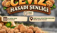 Çameli’de hasat vakti: Ceviz üreticisi festivalle taçlanıyor