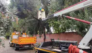 Efeler’de fırtına öncesi önlem: Ağaçlar güvenli hale getiriliyor