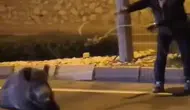 Söke yolunda nefes kesen kurtarma: Yörük başkanın kementli müdahalesi