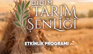 Didim’de bereketli günler: Toprağın emeği Akyeniköy’de şölene dönüşüyor