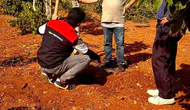 Bekilli’de bereketin anahtarı toprak analizinde aranıyor