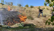Manisa'da korku dolu anlar: Alevler yerleşim yerlerinin kıyısından döndü