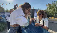 Bodrum’da deniz bereketi: 6 bin yavru balık mavi sularla buluştu