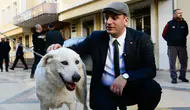 Bornova Belediyesi: Ege Üniversitesi'ndeki 83 köpek belediye yerleşkesine alındı