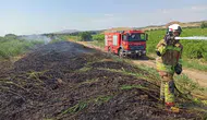 Manisa'da alevlerle zorlu mesai: Bir günde 50 noktada yangın alarmı