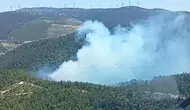 Soma ormanlarında korkutan dumanlar: Ekipler seferber oldu