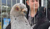 Denizli'nin 8 asırlık gururu podyuma çıktı: Parmak ucunda yürüyen efsane