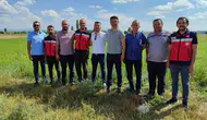Kütahya toprağında yeni dönem: Çörek otu tarlaları mercek altında