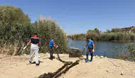 Aliağa'da kaçak avcılara geçit yok: Doğal yaşamı tehdit eden ağlar toplandı