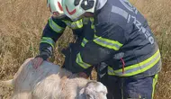 Tavas’ta nefes kesen operasyon: Kuyuya düşen keçiler için seferber oldular