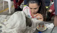 Seydikemer’de orman yangınının sessiz mağduruna gönüllü şefkati