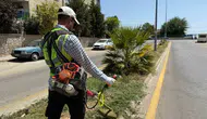 Çeştepe'de yeşil alanlar Özlem Çerçioğlu’nun dokunuşuyla yenileniyor
