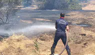 Didim’de alevler yerleşim yerlerini teğet geçti: Korku dolu anlar yaşandı