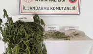 Efeler'de jandarmadan uyuşturucu operasyonu: Evlerini seraya çevirmişler