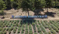 Bodrum'da toprağa dokunan gençlik: 6. Tarım Kampı kapılarını açtı