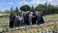 İscehisar’da toprak bereketlendi: ADEM projesiyle ilk ürünler toplandı