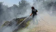 Aydın'da yangın mesaisi: İtfaiye ekipleri bir haftada yüzlerce noktaya yetişti