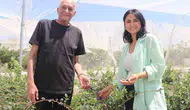 Beyaz yakalı hayattan topraksız tarım devrimine: İlter çiftinden İzmir’de örnek girişim