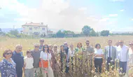Kuşadalı kadınlardan Isparta çıkarması: Haşhaş tarlasında güç birliği