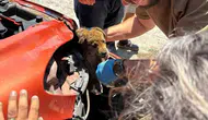 Söke'de korku dolu anlar: Aracın tamponuna giren yavru köpek için seferber oldular