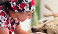 Ölümden döndü: Sarıgöl'de yaralı köpeğe belediye şefkati