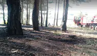 Tavşanlı'da ormanlık alanda korkutan dumanlar: Ekipler felaketi önledi