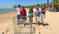 Didim sahillerinde Caretta caretta bereketi: İkinci yuva korumaya alındı