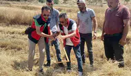 Tavşanlı ovasında hasat mesaisi: Biçerdöverlerde sıkı denetim dönemi