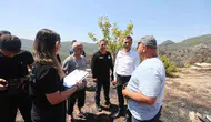 Fethiye’deki yangın felaketinin izleri siliniyor: Büyükşehir ekipleri sahada seferberlik başlattı