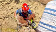 Çobanın imdadına itfaiye yetişti: 5 metrelik kuyudan sağ çıktı