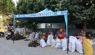 Nazilli’de emekçi kadınların imdadına Başkan Tetik yetişti