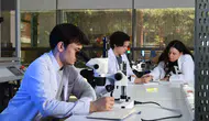 İzmir Ekonomi Üniversitesi’nde bilimsel başarı: 32 öğrenciye TÜBİTAK desteği